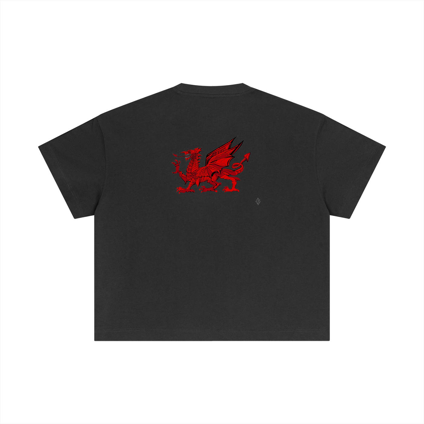 Essential Cotton Boxy T-Shirt