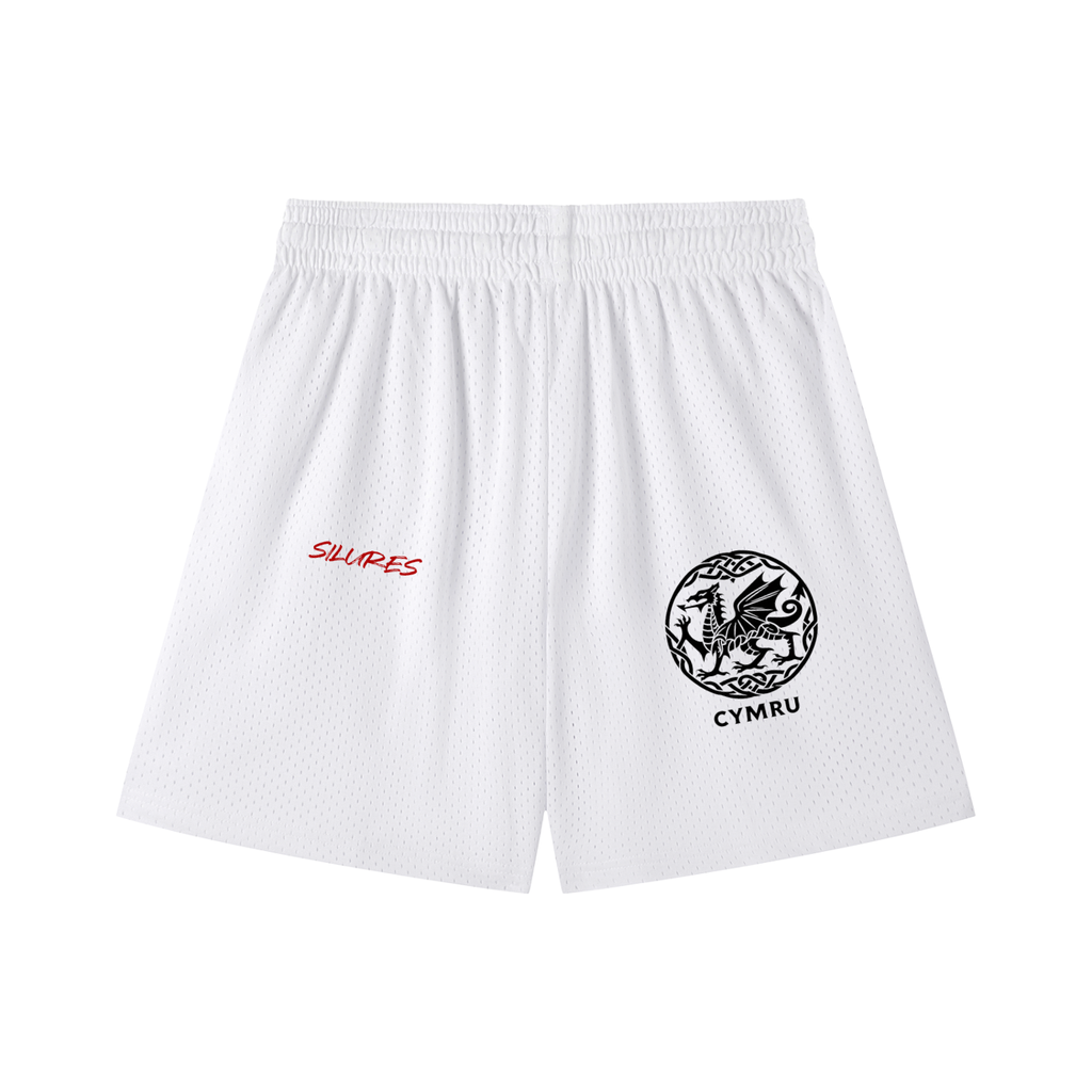 Mesh Drawstring Shorts