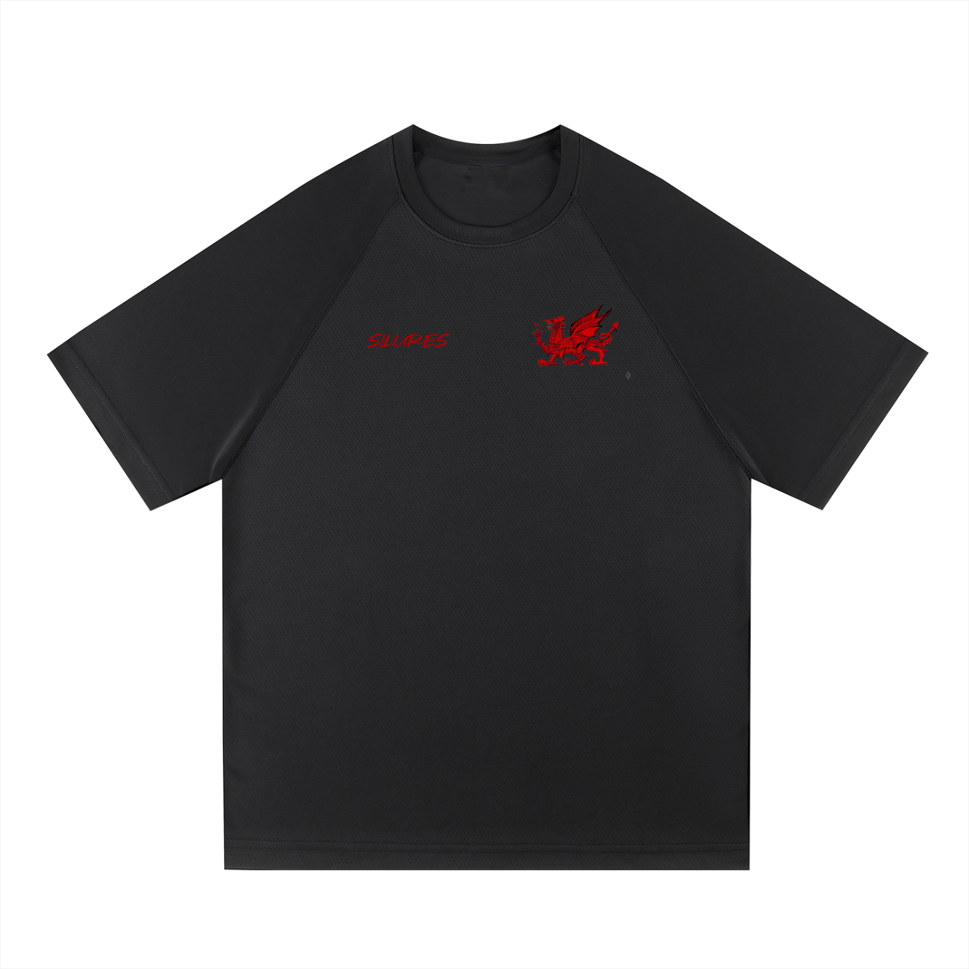 Raglan Sleeve Mesh T-Shirt