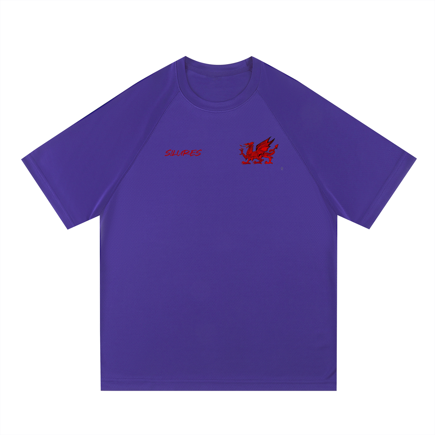 Raglan Sleeve Mesh T-Shirt