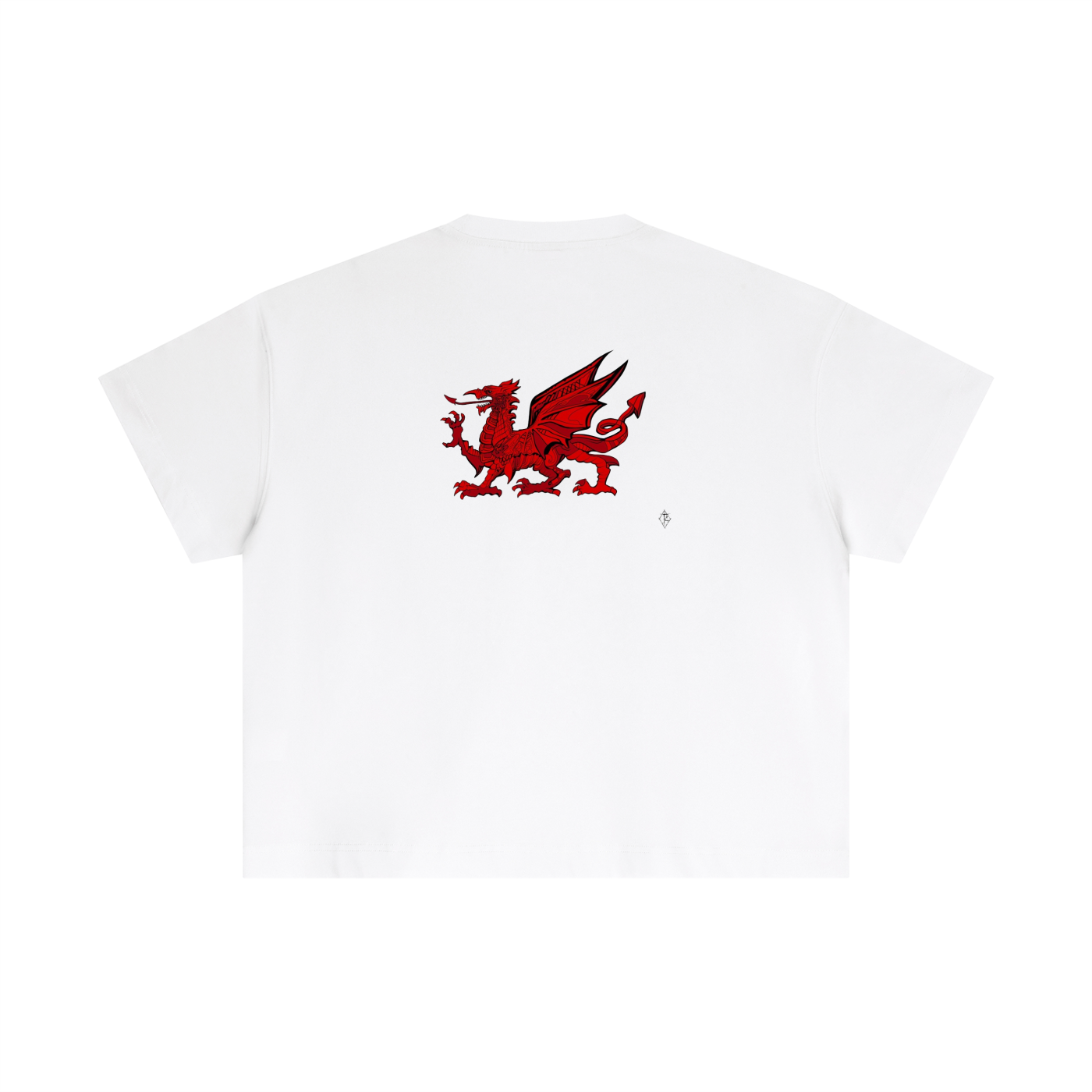 Essential Cotton Boxy T-Shirt