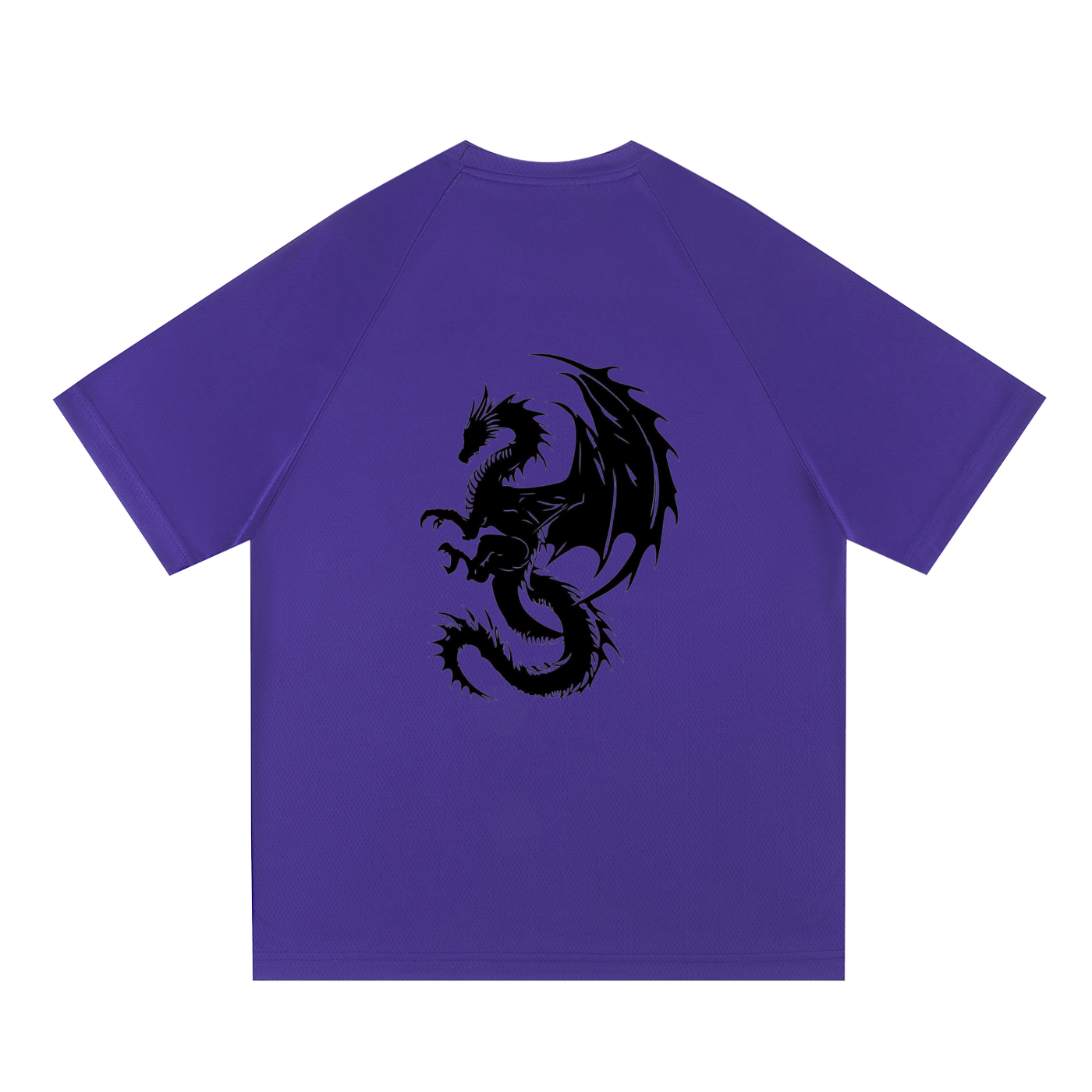 Raglan Sleeve Mesh T-Shirt