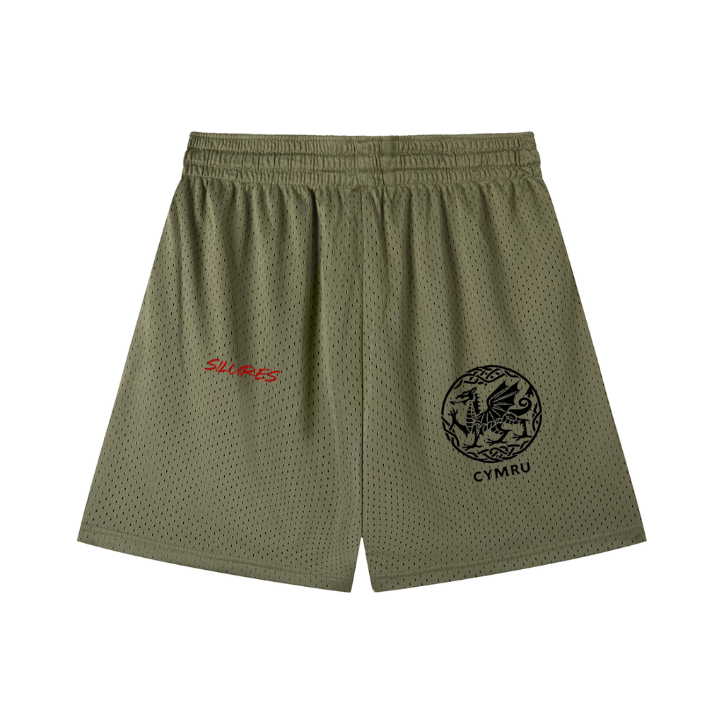 Mesh Drawstring Shorts