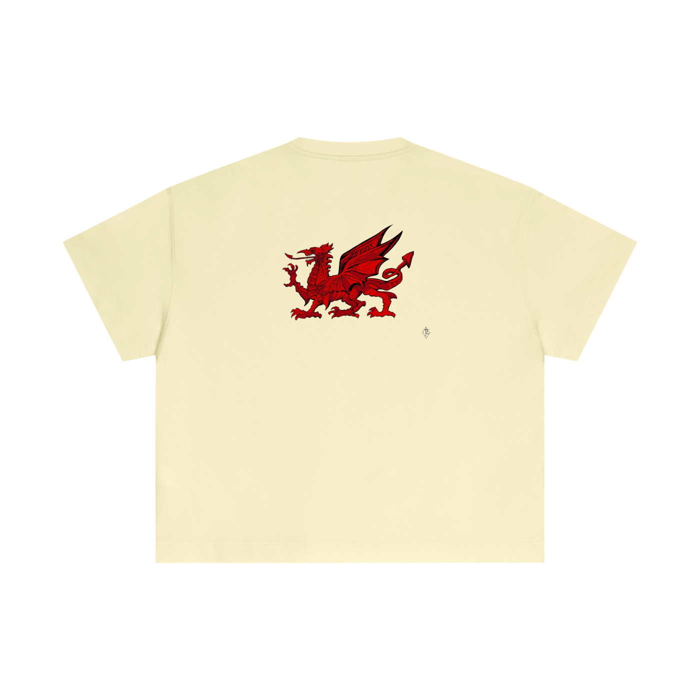 Essential Cotton Boxy T-Shirt
