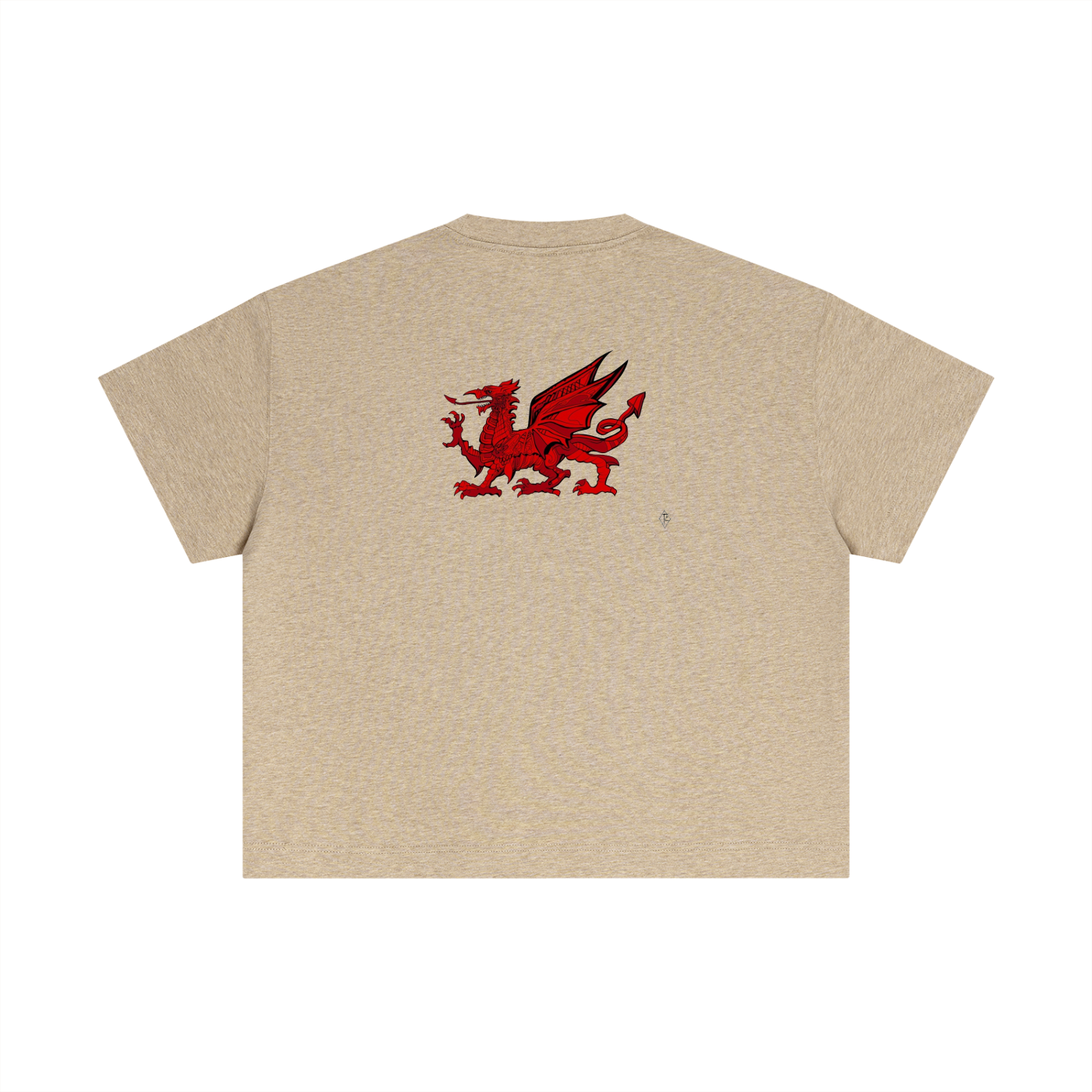 Essential Cotton Boxy T-Shirt