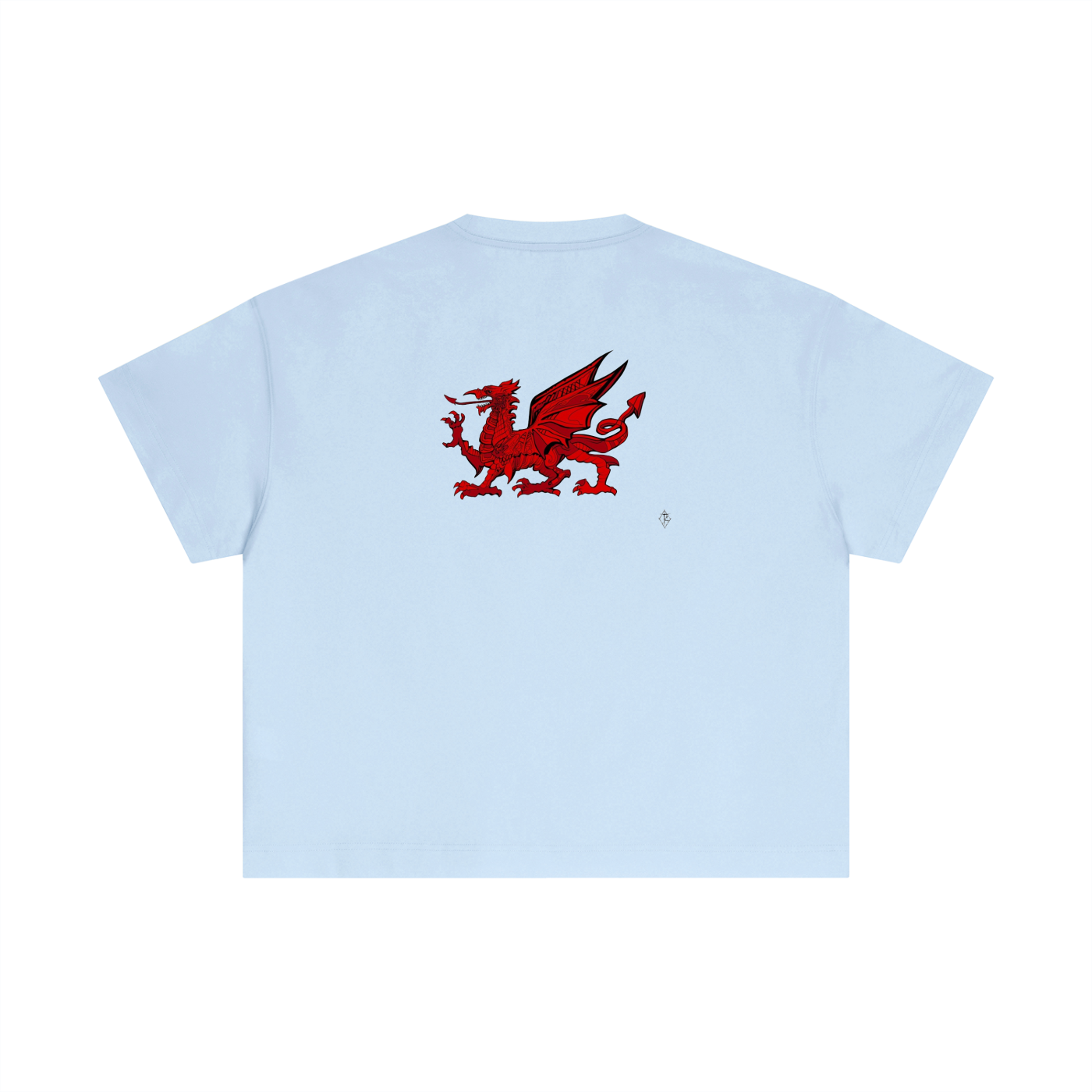 Essential Cotton Boxy T-Shirt