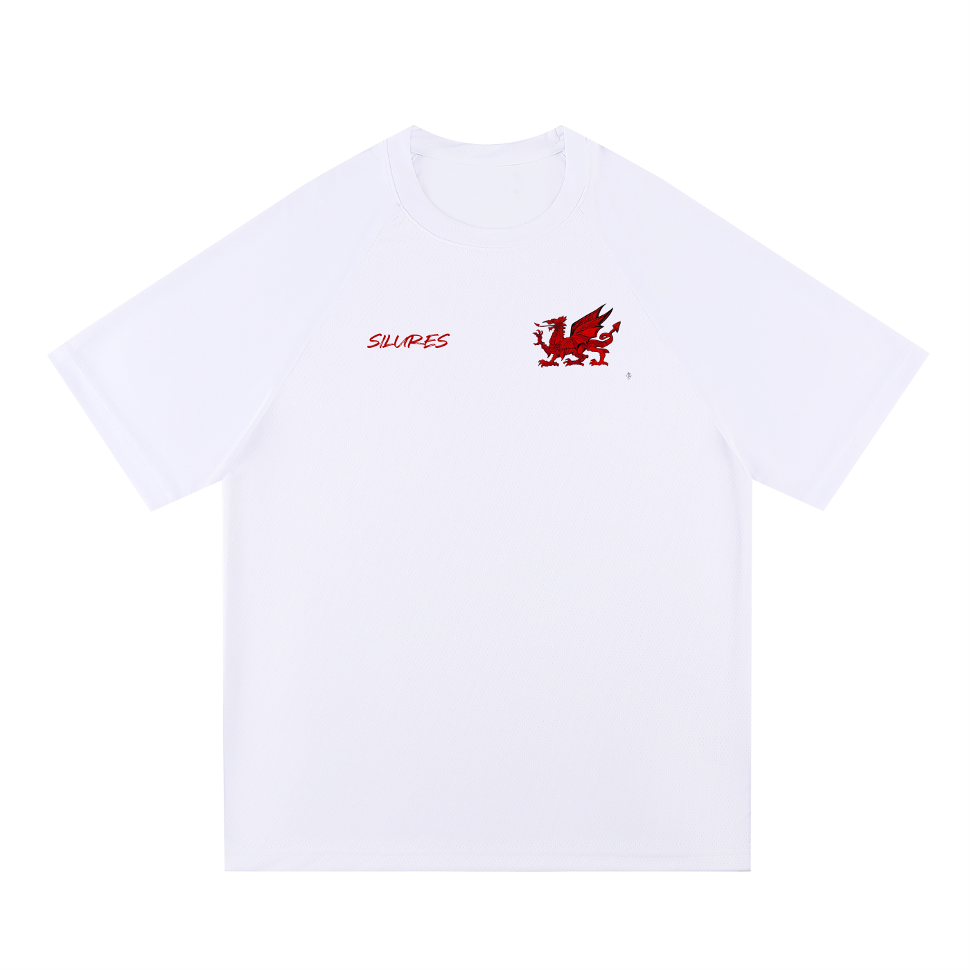 Raglan Sleeve Mesh T-Shirt